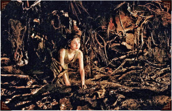 Cabinet of Curiosities: My Notebooks, Collections, and Other Obsessions _260.jpg