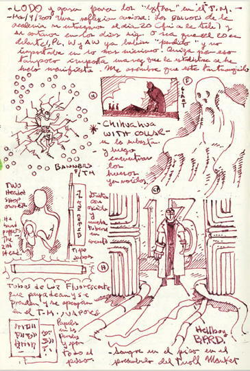 Cabinet of Curiosities: My Notebooks, Collections, and Other Obsessions _335.jpg