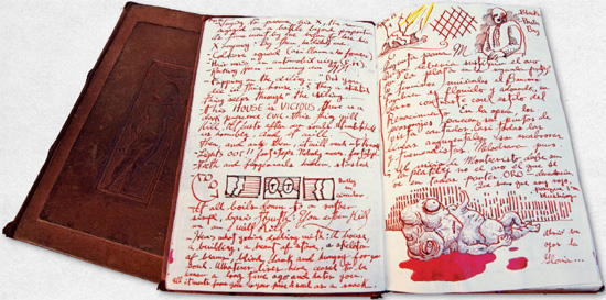 Cabinet of Curiosities: My Notebooks, Collections, and Other Obsessions _29.jpg