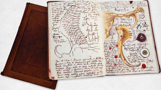 Cabinet of Curiosities: My Notebooks, Collections, and Other Obsessions _30.jpg