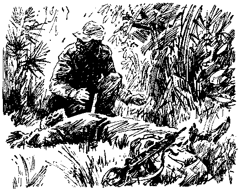 Гроза над лагуной (илл. Л. Хайлова) pic_26.png