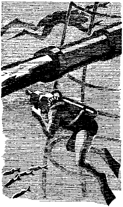Экипаж «Меконга» (илл. И. Сакурова) pic_43.png
