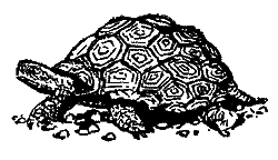 Полонені Барсової ущелини im_038.png