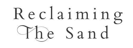Reclaiming the Sand _1.jpg