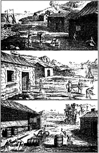 Происхождение вилки. История правильной еды i_028.jpg