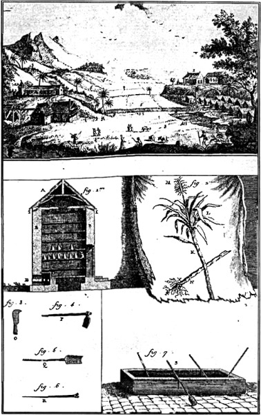 Происхождение вилки. История правильной еды i_035.jpg