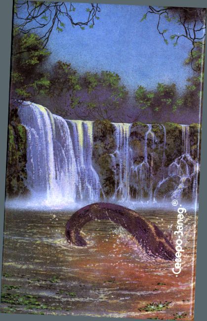 Единственное решение (сборник) i_010.jpg