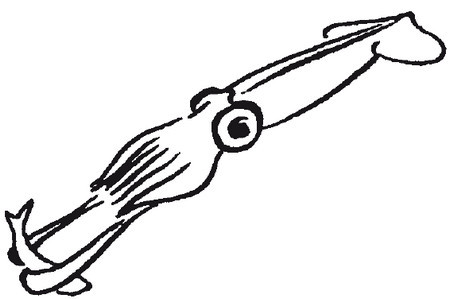 Физика i_233.jpg