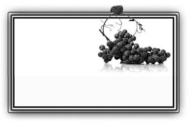 500 советов виноградарю i_002.jpg