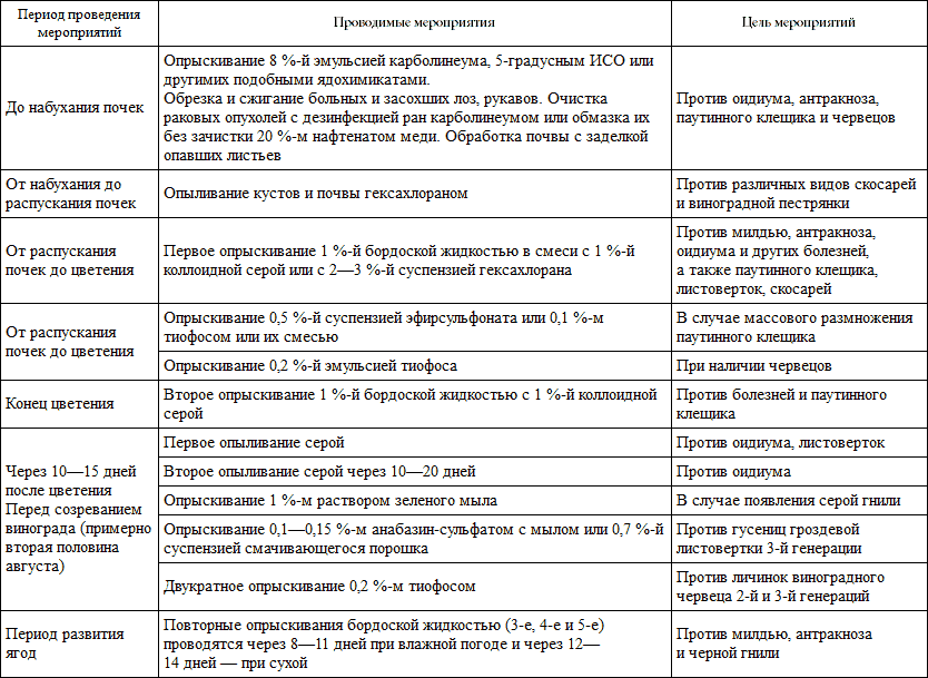 500 советов виноградарю i_004.png