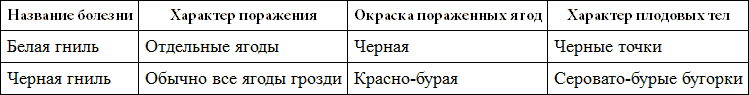 500 советов виноградарю i_005.png
