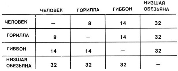 Недостающее звено _000045f1.jpg