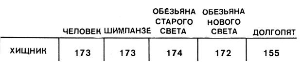 Недостающее звено _000046f1.jpg