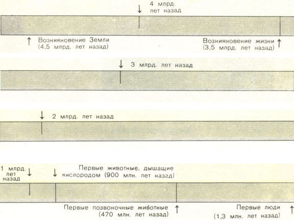 Недостающее звено img037f5.jpg