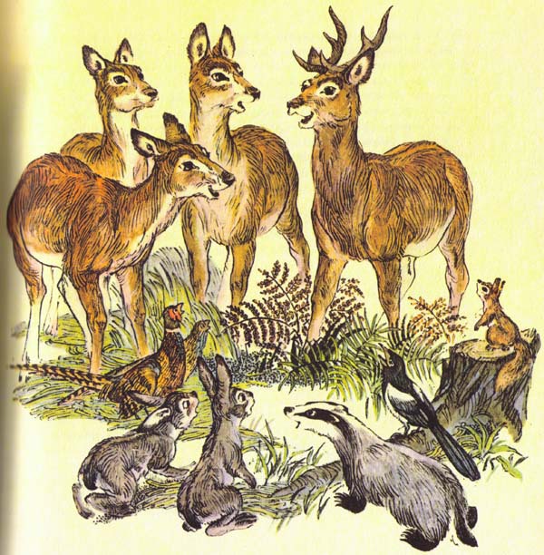 Бемби (с илл.) i_034.jpg