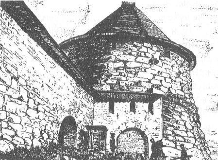 Великие битвы уголовного мира. История профессиональной преступности Советской России. Книга первая (1917-1940 г.г.) i_013.jpg