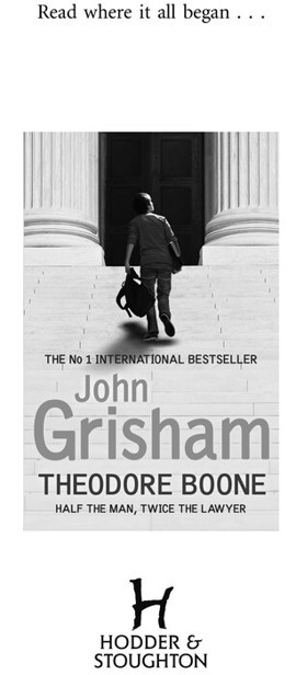 Theodore Boone: The Accused _2.jpg