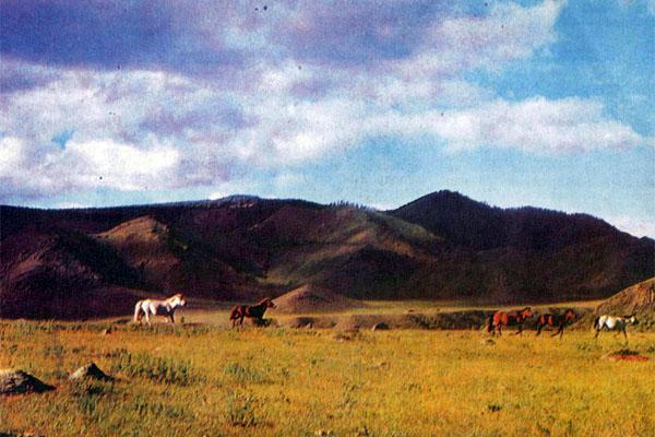 Журнал «Вокруг Света» №08 за 1979 год TAG_img_cmn_2007_10_08_016_jpg925333