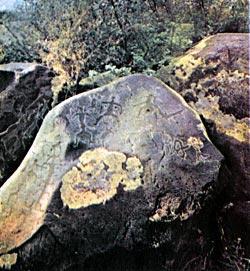 Журнал «Вокруг Света» №08 за 1979 год TAG_img_cmn_2008_04_18_009_jpg784895