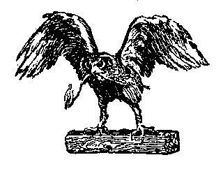 Черная Индия (илл. В. Ермолова) pic_9.png