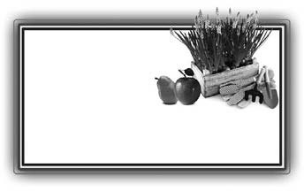 500 советов садоводу i_002.jpg