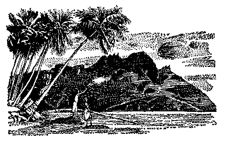 Грот афалины (илл. В. Барибы) pic_2.png