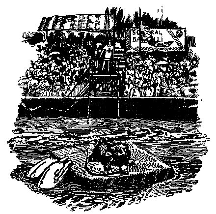 Грот афалины (илл. В. Барибы) pic_14.png