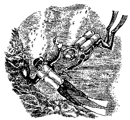 Грот афалины (илл. В. Барибы) pic_16.png