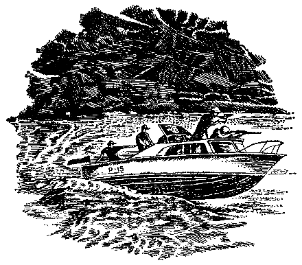Грот афалины (илл. В. Барибы) pic_26.png