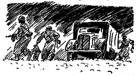 «Штурмфогель» без свастики pic_18.png