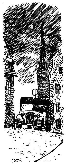 «Штурмфогель» без свастики pic_19.png
