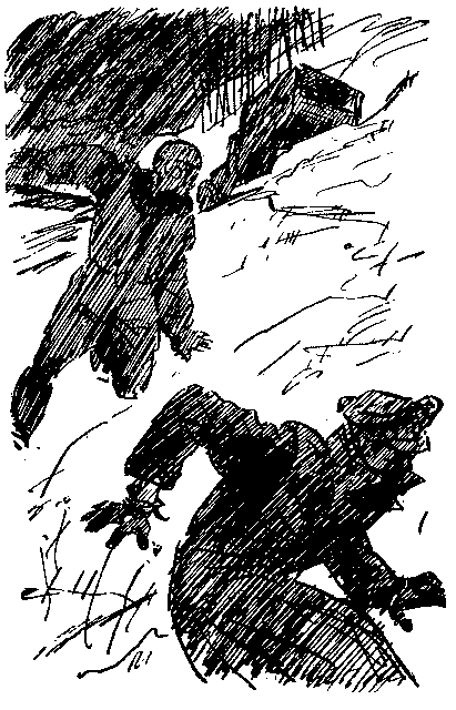 «Штурмфогель» без свастики pic_24.png