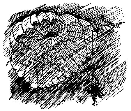 «Штурмфогель» без свастики pic_25.png