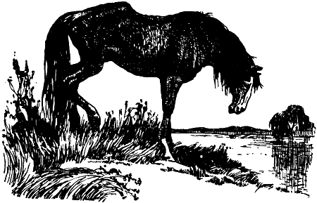 Тройка запряженных кузнечиков i_003.png
