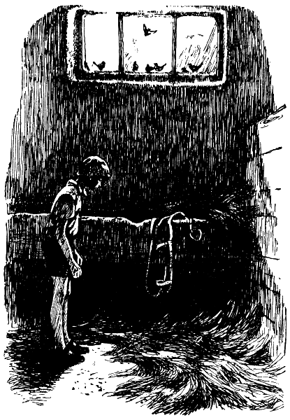 Тройка запряженных кузнечиков i_004.png