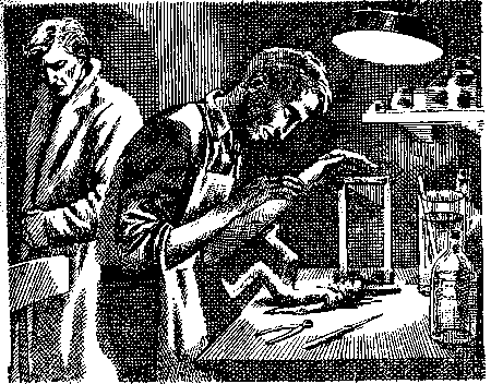 Преследование (сборник) pic_6.png