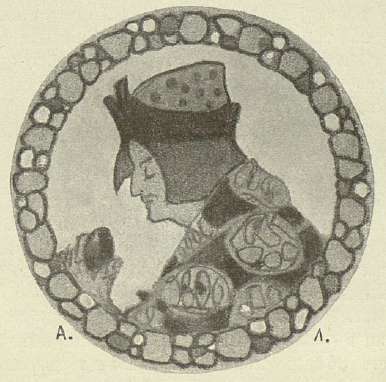 opochinin2.jpg