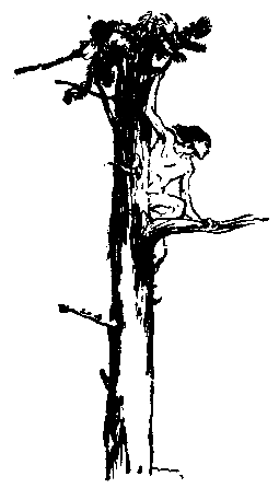 Повесть о Манко-Смелом pic_51.png