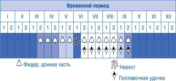 Ловля карпа, леща, толстолобика, белого амура. Секреты и хитрости успешной рыбалки i_055.jpg