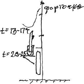 Виноградная лоза. Опыт выращивания i_022.jpg