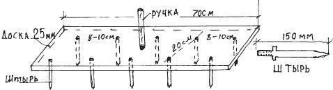 Виноградная лоза. Опыт выращивания i_025.jpg
