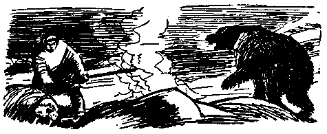 Листы каменной книги pic_29.png