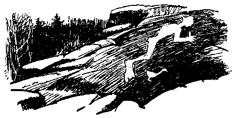 Листы каменной книги pic_13.png