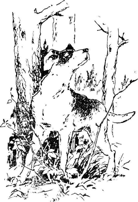 i_005.jpg