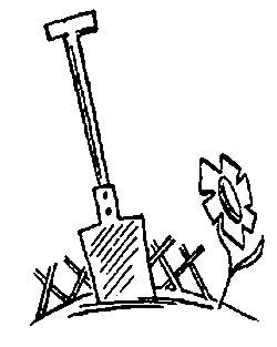 Пять Робинзонов pic_67.png