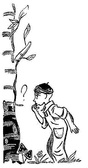 Пять Робинзонов pic_19.png