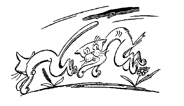 Пять Робинзонов pic_39.png