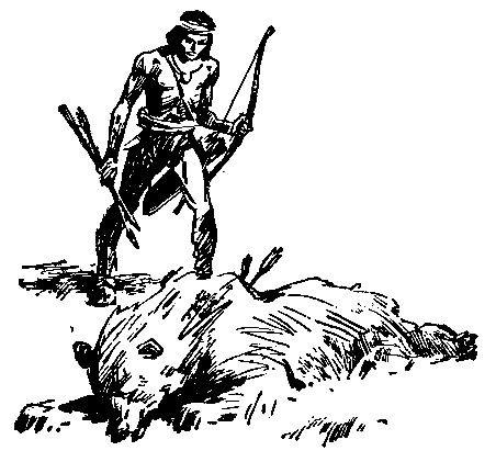 Сын племени Навахов pic_12.png