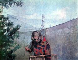 Журнал «Вокруг Света» №05 за 1979 год TAG_img_cmn_2007_10_03_045_jpg847948