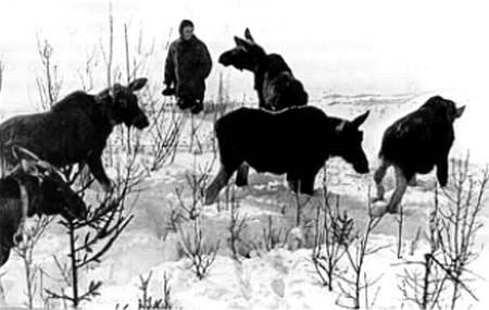 Полное собрание сочинений. Том 7. По зимнему следу _82.jpg